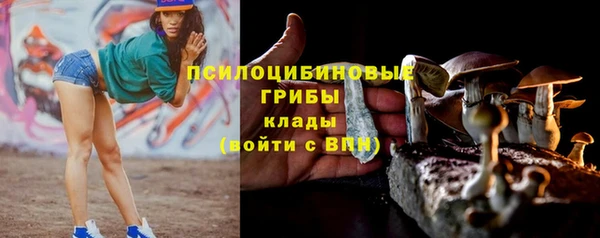 Альфа ПВП Каменка