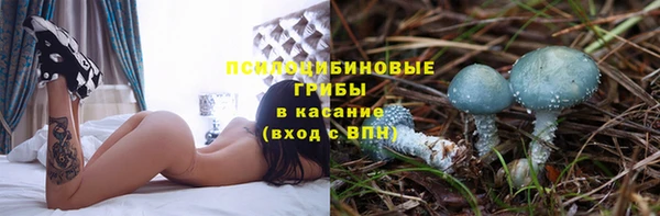 Альфа ПВП Каменка