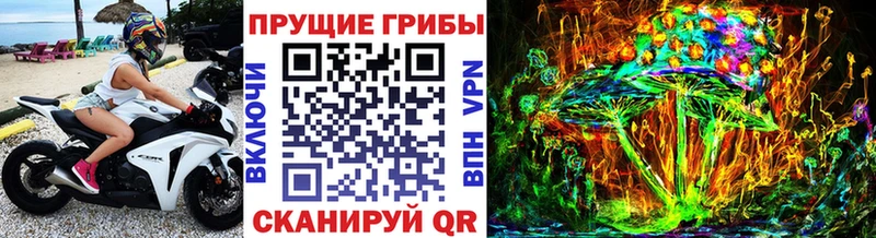 Галлюциногенные грибы Cubensis  Купить  Ростов 